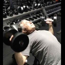 Chest Press Exercise on incline bench pressing dumbbells up