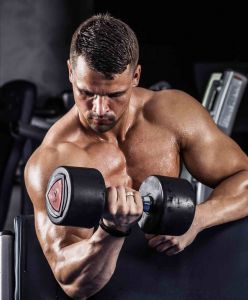 Seated Bicep Curl performed by a Personal Trainer