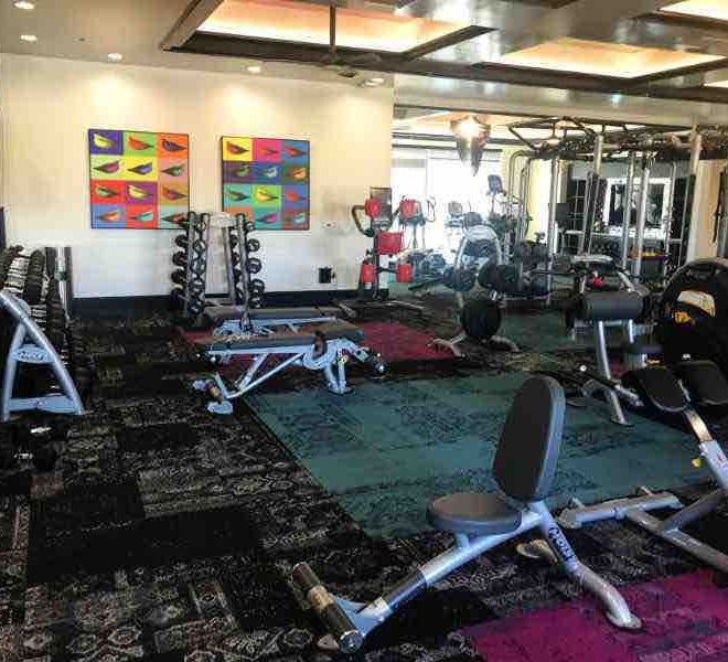 image of dumbbell racks benches and cardio equipment