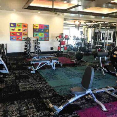 image of dumbbell racks benches and cardio equipment
