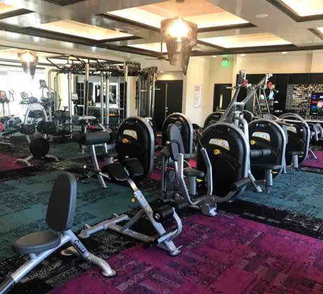 apartment gyms with pin loaded hoist equipment cables pull up bars and cardio equipment